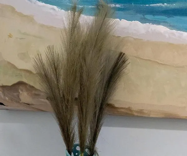 Grammata Apartamento Ermoupoli